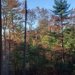 Meet your Posher, Kellie